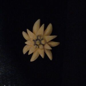 Antique bone brooch